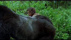 Nas Montanhas dos Gorilas (1988)
